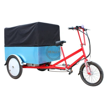 250W Električni Tovora Kolo Motorna Trikolesa Rickshaw Tuktuk motorno kolo 3 Sedeža Za Odrasle Za Prodajo